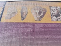 Ciudad de Elche 2022